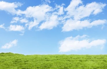 ◉感染防止対策実施施術機関リスト◉