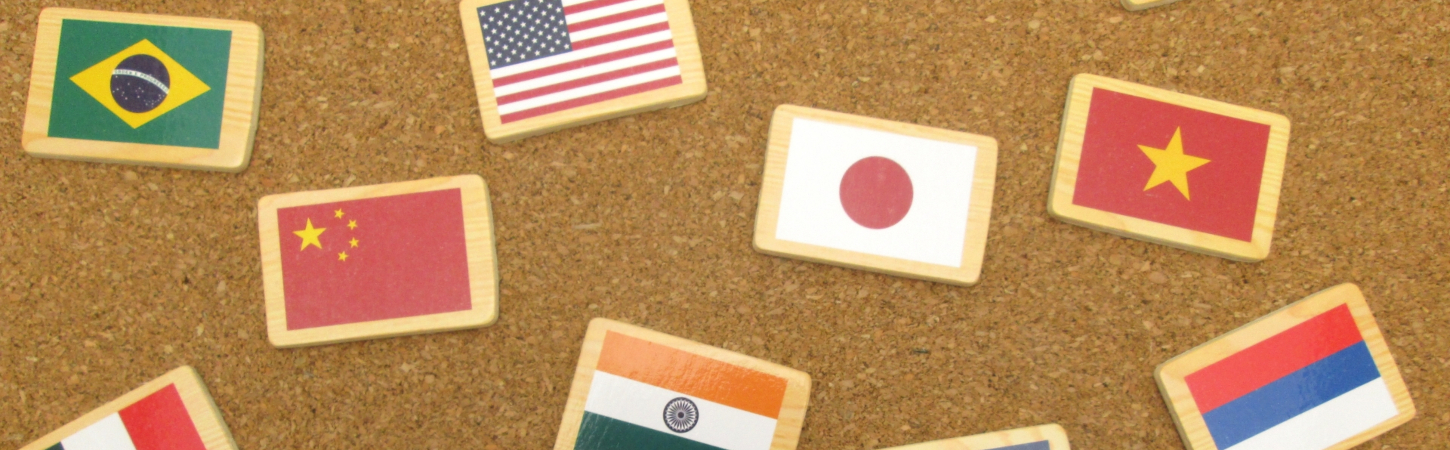 国際委員会とは 公益社団法人 日本鍼灸師会