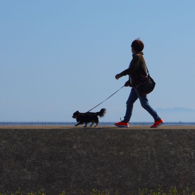 ◉三寒四温
　暖かく春らしい日が続くようになるまでは、三寒四温が続くといわれます。「三寒四温」という言葉は、3日間寒い日が続き、4日間暖かい日が続き、だんだんと本格的な春をむかえる、という意味で使われています。もともとは、中国北東部や朝鮮半島北部で起こる冬季の気候現象で使われていた言葉です。冬のシベリア高気圧からくる寒気が7日間続き、強まったり弱まったりすることが由来だそうです。その言葉が日本に伝わり、いつしか三寒四温は「季節の変わり目」という意味合いで使わるようになったようですね。
　三寒四温が続くこの時期は気温差も大きく、体調を崩しやすい時期でもあります。この時期に体調を崩さないためにおすすめの過ごし方は、朝は早起きして散歩することです。「春眠暁を覚えず」ということわざもありますが、春は早起きがつらくなる季節です。人間の体は通常、朝起きたときに副交感神経から交感神経に切り替わるのですが、春はこの切り替えが不安定になるそう季節です。そのため、できるだけ早起きを心がけて、散歩などで体を動かし自律神経のリズムを整えることがおすすめです。
また、少しあたたかくなったからといって、いきなり薄着をしてしまうと風邪をひきやすくなるので気をつけましょう。春先は厚着をしている寒い冬よりも、うっかり身体が冷えてしまいがちです。急に薄着になりすぎず、気温差によって体温調節ができるようにカーディガンやストールなど準備しておきましょう。
　暖かい春の季節を元気に楽しむため、体調管理には気をつけてお過ごしください。

※この内容の意見や見解は、あくまで書き手個人のものであり、
日本鍼灸師会または役員の見解や意見を代表するものではありません。